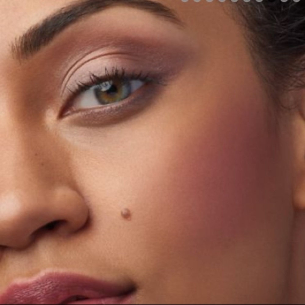 HOSTPICKx4πBrand new bare minerals bounce and blur blush - Picture 6 of 13